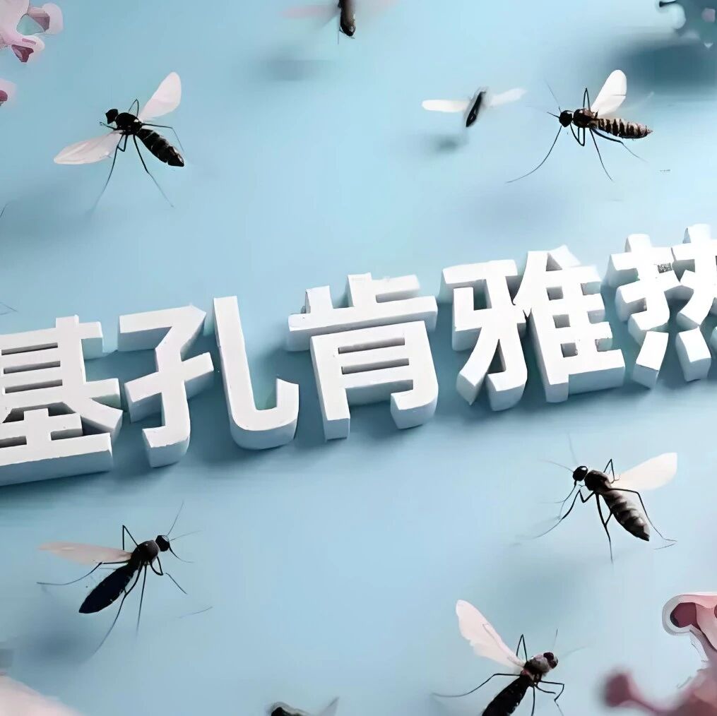 注意！这种蚊子能传病，疾控中心提醒的这几点赶紧看