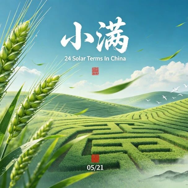 小满湿热15天，不管有钱没钱，这4道“黄金菜”记得端上桌，人人都夸！健康养生秘诀2026年5月21日 22:13 湖北 14人