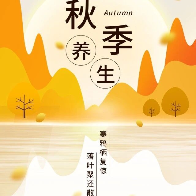 秋分的第一杯养生茶，你怎么选？
